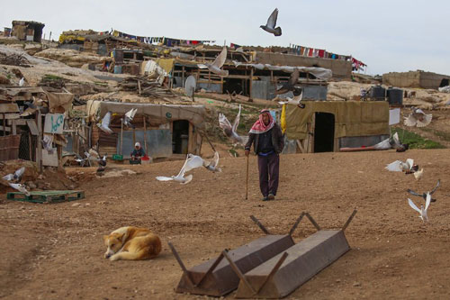 The Bedouin Conundrum