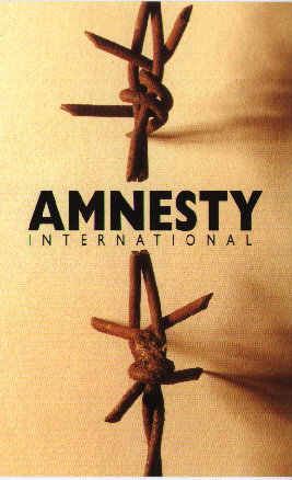 Amnesty International's Moral Decline