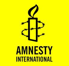 Personnel is Policy: Amnesty International and Israel