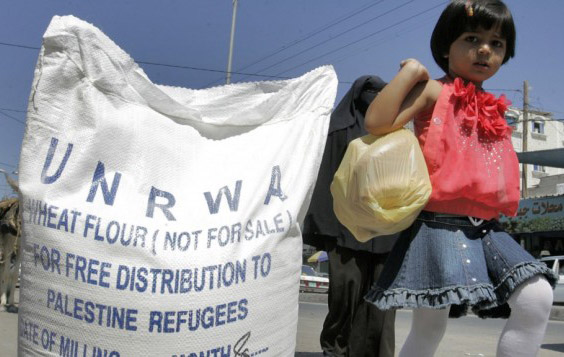Romirowsky: Challenging UNRWA