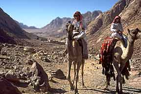 The Sinai "Badlands"