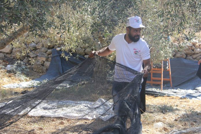 Australian aid to Palestinians – where does it go? Australian aid to Palestinians – where does it go?