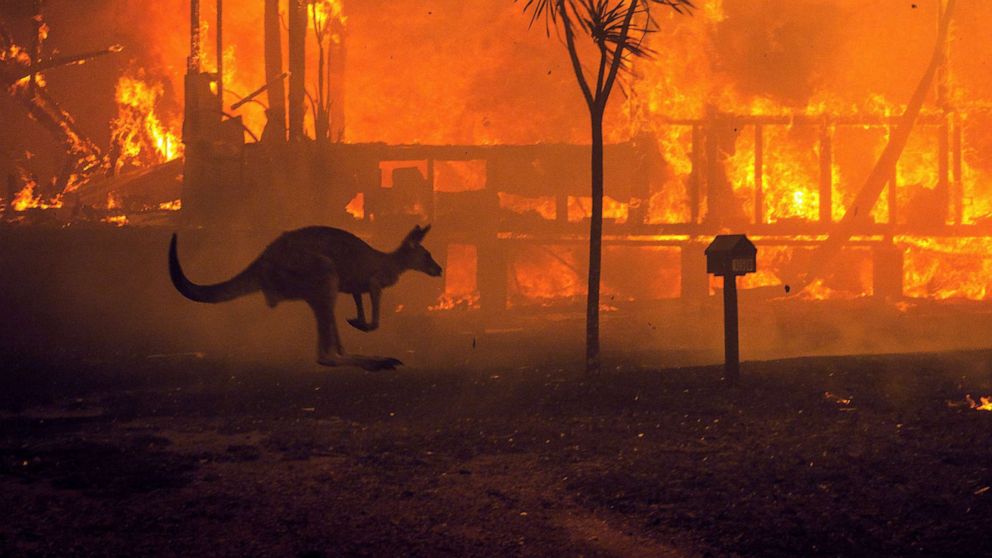 Australia ablaze: Victim of an international plot, according to some