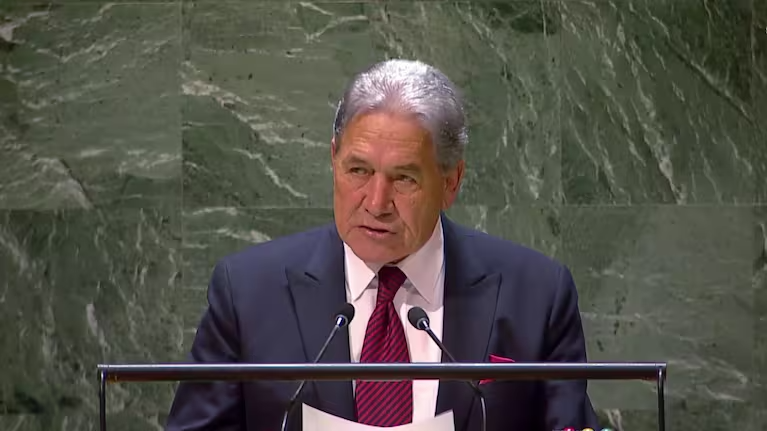 NZ Foreign Minister Winston Peters at the UN (Screenshot)