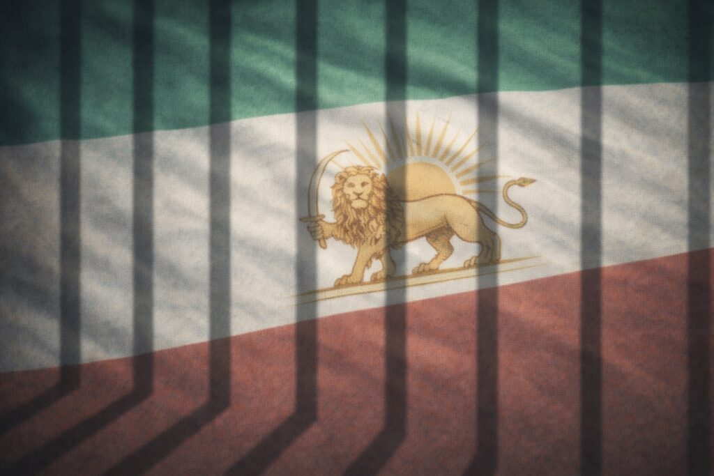 WhatsApp Image 2026-02-06 at 4.11.27 PM