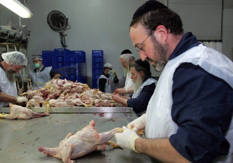 Europe’s approval of bans on kosher slaughter effectively marginalises the continent’s Jewish population