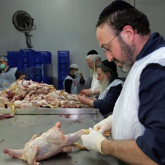 Europe’s approval of bans on kosher slaughter effectively marginalises the continent’s Jewish population