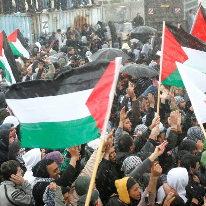 Developments in Palestinian politics and society