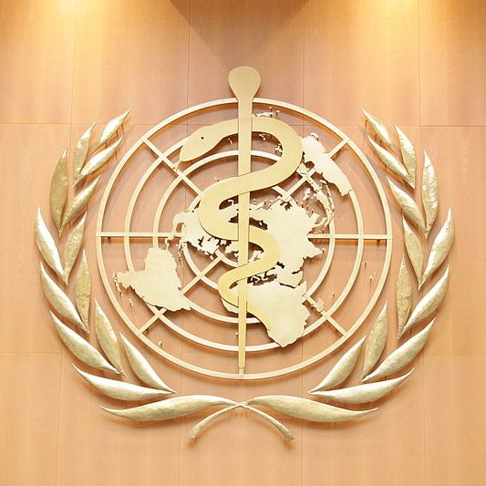 800px Logo Of The World Health Organization