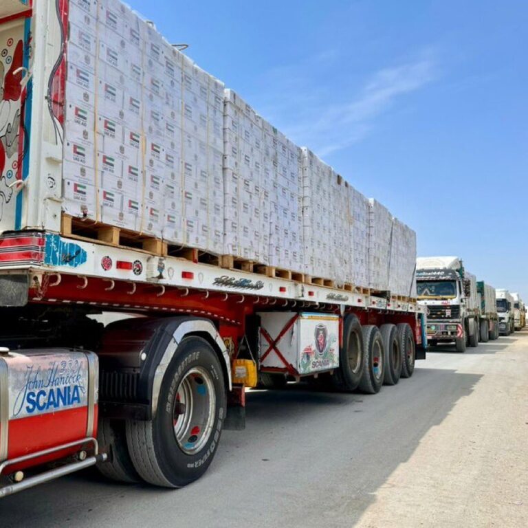 Aid trucks entering Gaza (Image: X/ COGAT)