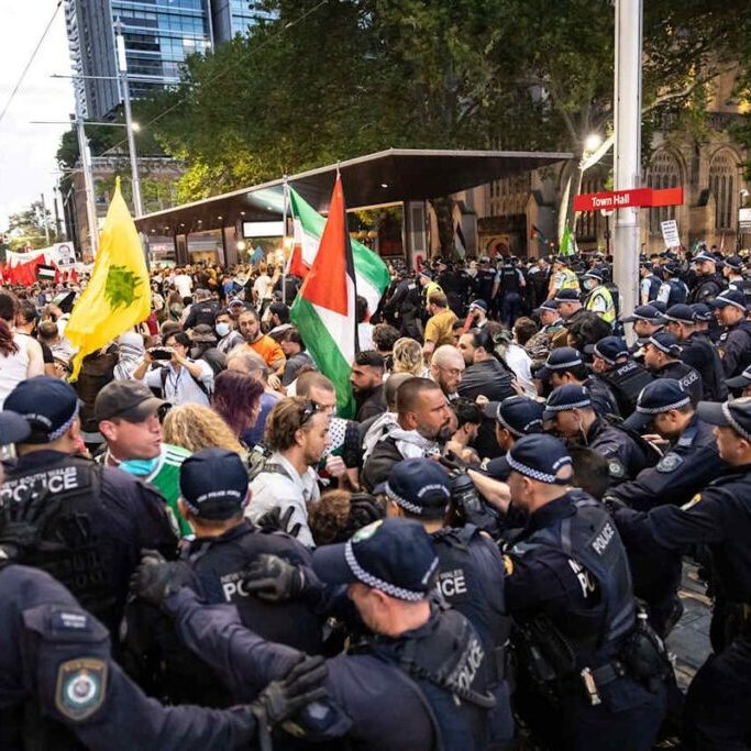 Protesters in Sydney (Image: X)