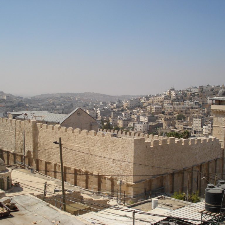 Ethnic cleansing in Palestine