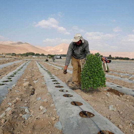 An Age article on the Jordan Valley was flooded with anti-Israel smears and distortions