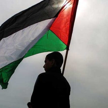 Palestine Flag Banner