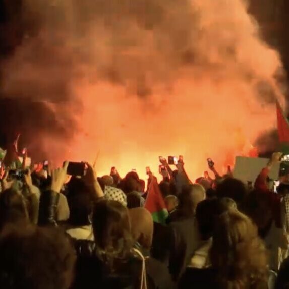 Screenshot The infamous scenes outside the Sydney opera House, October 2023 (Screenshot)