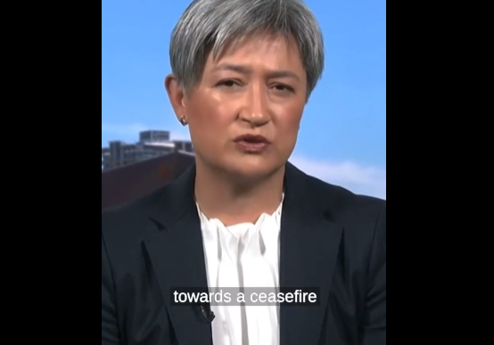 A Screenshot from Senator Wong's controversial Statement on ABC-TV's "The Insiders" on Nonv. 12, 2023, as republished on her feed on X (formerly Twitter)