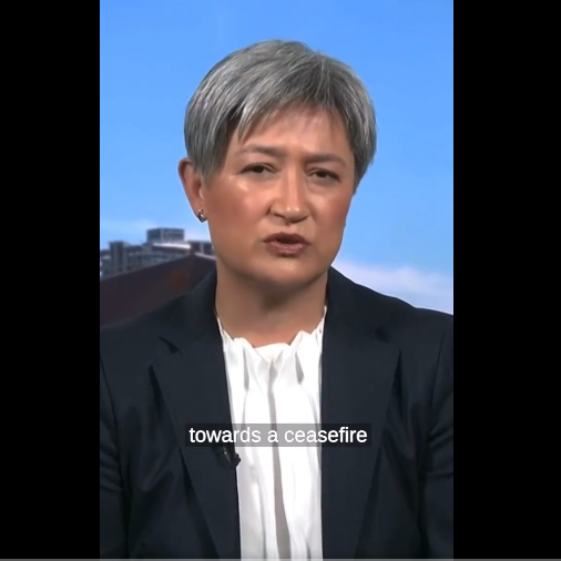A Screenshot from Senator Wong's controversial Statement on ABC-TV's "The Insiders" on Nonv. 12, 2023, as republished on her feed on X (formerly Twitter)