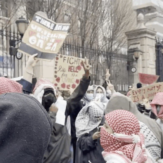 Students who spread antisemitic anti-Zionism on university campuses may have learned their hatred in secondary or even primary school (Image: Screenshot/ X)