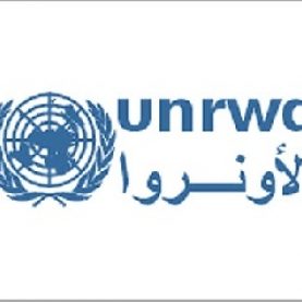 UNRWA and Alternatives for Palestinian Refugees