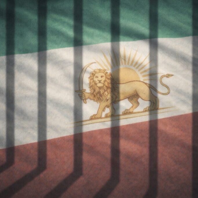 WhatsApp Image 2026 02 06 At 4.11.27 PM