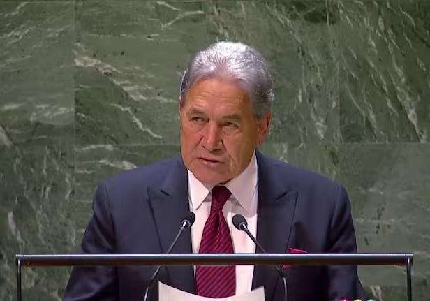 NZ Foreign Minister Winston Peters at the UN (Screenshot)