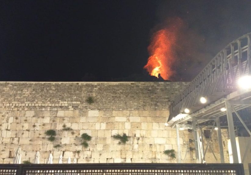 Tree burning on the Temple Mount