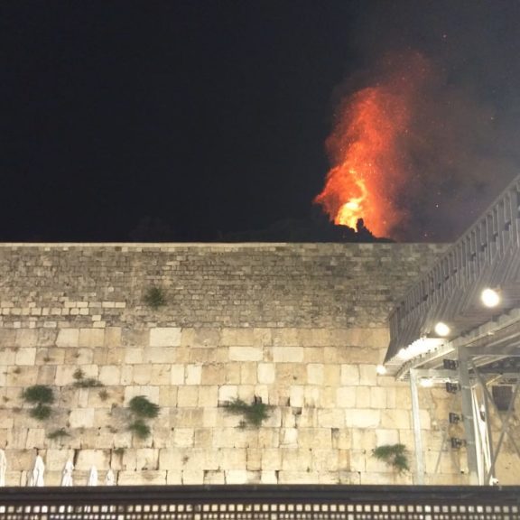 Tree burning on the Temple Mount