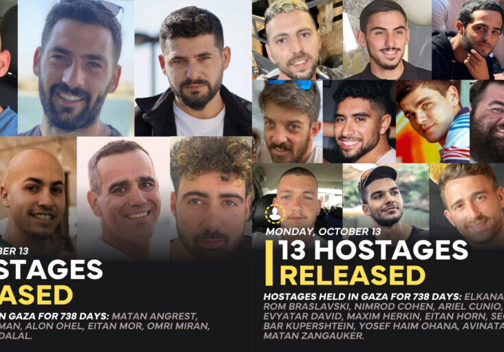 (Image: Combined from IDF)