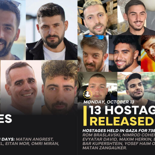 (Image: Combined from IDF)