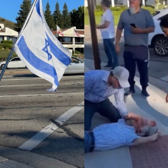 Paul Kessler: Fatally struck down by a pro-Palestinian protester in Los Angeles (X/ Twitter)