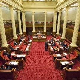 South Australian politicians have made right decision voting against unilateral recognition of Palestine