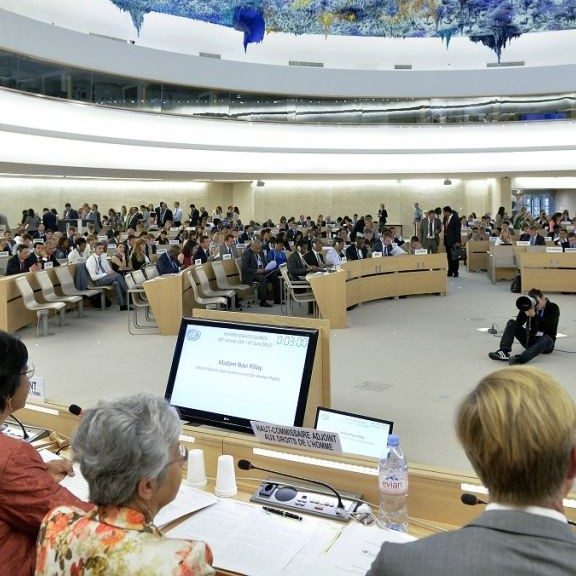 According to the UN Human Rights Council, there is effectively no difference between mass murder and selling groceries; both raise “particular human rights concerns.”