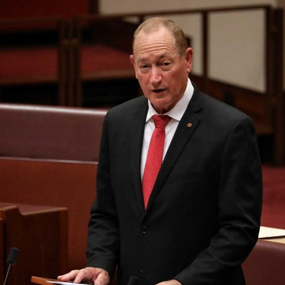 Senator Anning: Maiden speech caused an uproar