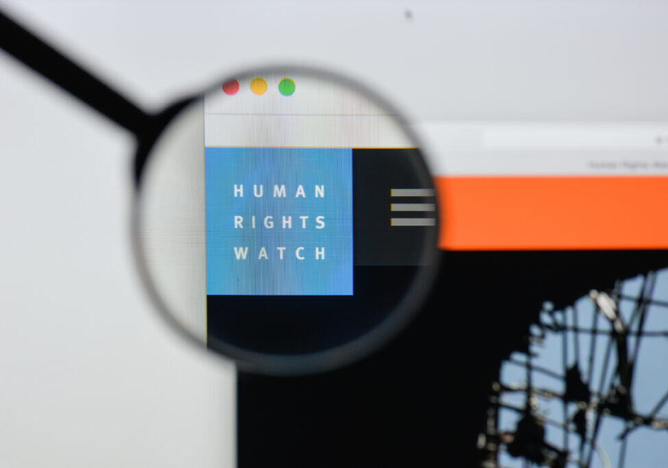 Groups like Human Rights Watch are being granted a “watchdog” role without ever having to prove they are fit to bark (Image: Shutterstock)