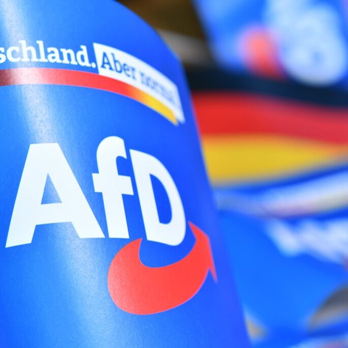 The far-right Alternative for Germany (AfD): Gaining votes by laundering its reputation 