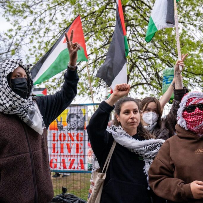 A large part of the New Left adopted the secular anti-Zionism of the PLO, and then later absorbed the antisemitism common within political Islamism (Image: Shawn Goldberg/ Shutterstock)