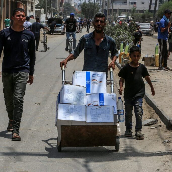 The World Food Program aid to the displaced and local residents in Deir al-Balah in the central Gaza Strip (Image: Anas Mohammed/ Shutterstock)