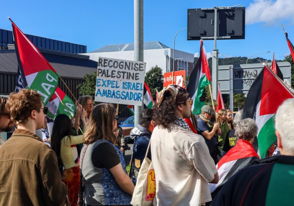 Protesters in Wellington, 2025 (Image: NataliaCatalina.com/ Shutterstock)