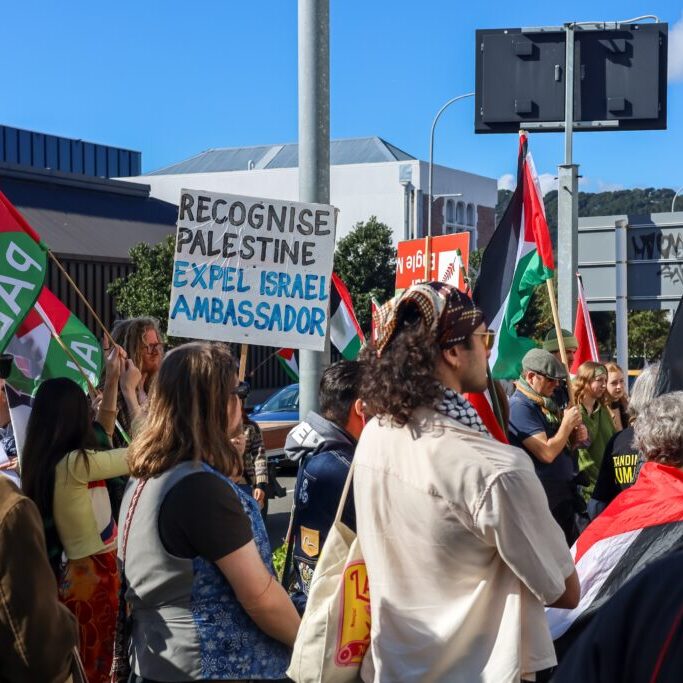 Protesters in Wellington, 2025 (Image: NataliaCatalina.com/ Shutterstock)