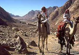 The Sinai "Badlands"