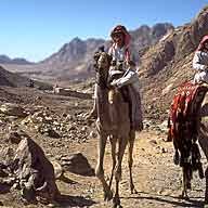 The Sinai "Badlands"