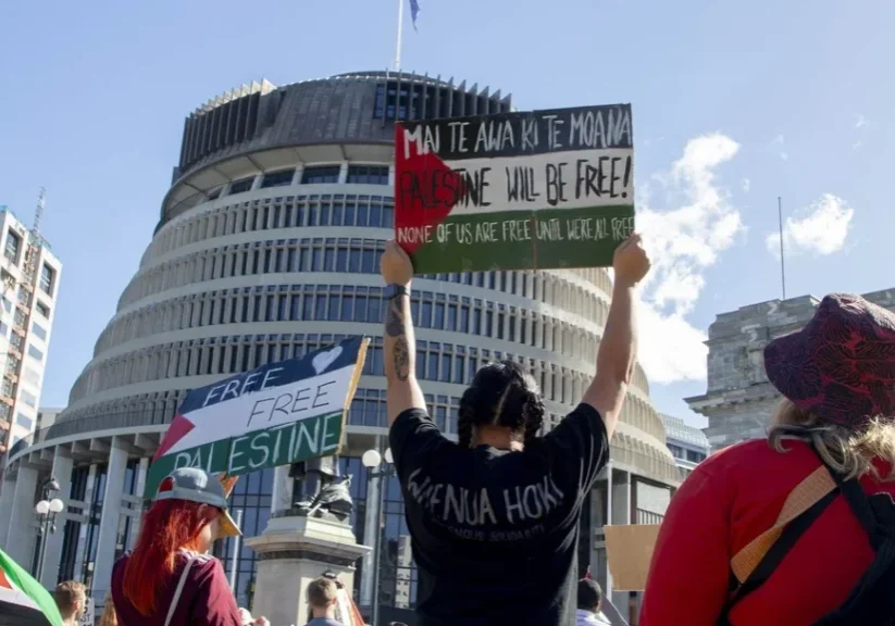 Pro-Palestinian protesters outside the New Zealand parliament in Wellington (Image: Reddit)