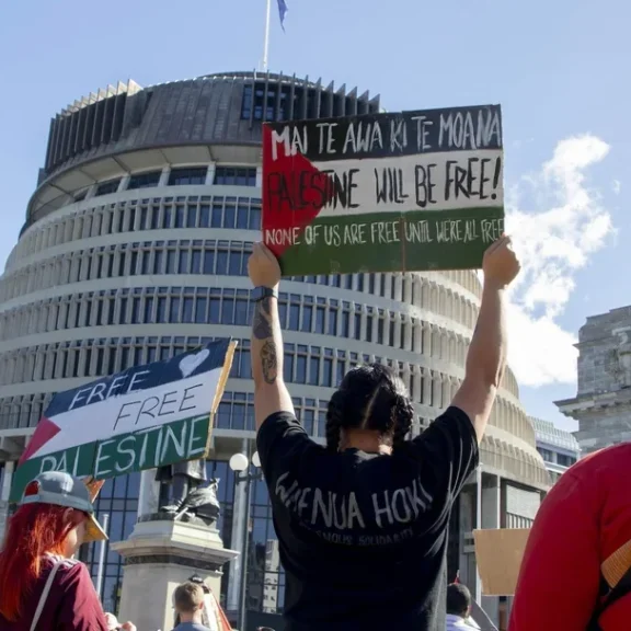 Pro-Palestinian protesters outside the New Zealand parliament in Wellington (Image: Reddit)