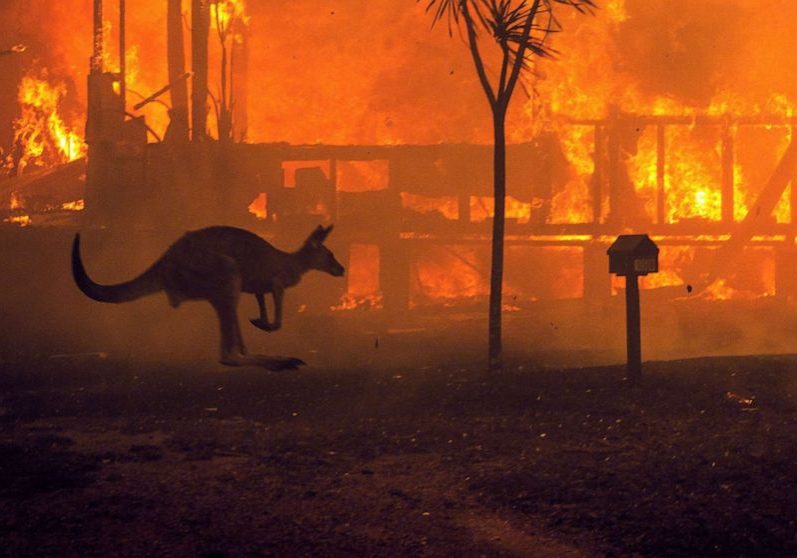 Australia ablaze: Victim of an international plot, according to some